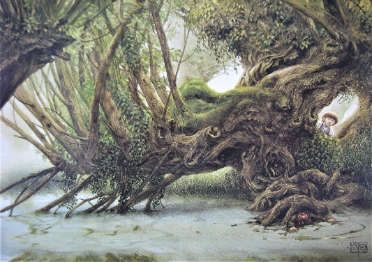 OLD MAN WILLOW  (medium) by John Howe